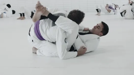 GUI MENDES SPARRING PURPLE BELT