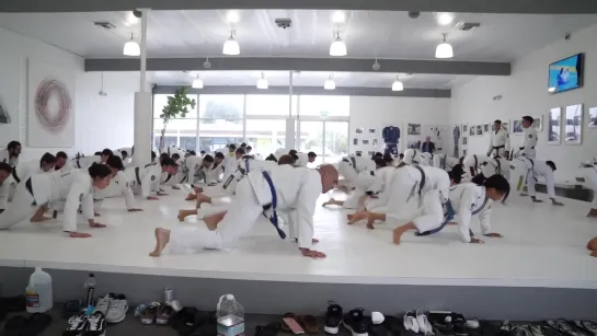 Тренировка в ART OF JIU-JITSU - AOJ Training Highlight #bjf_aoj