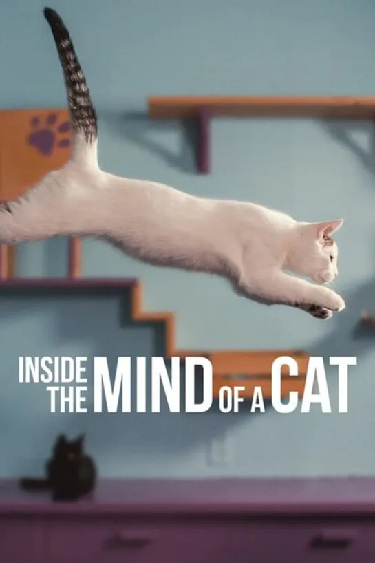 Что происходит в голове у кошки | Inside the Mind of a Cat (2022)