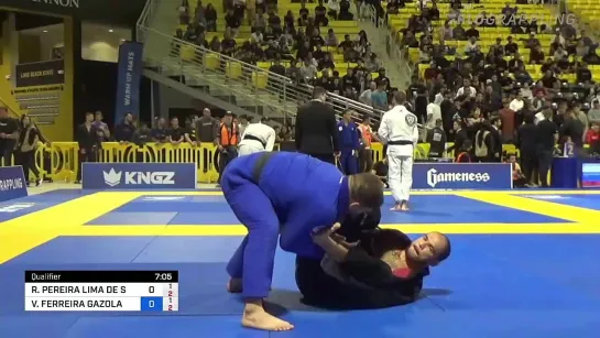 8F Open class - ROOSEVELT DE SOUZA vs VINICIUS GAZOLA #IBJJFWORLD2022