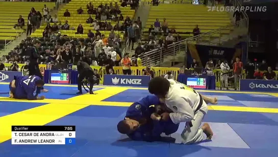 8F Open class - THIAGO CESAR DE ANDRADE SILVA vs FELLIPE ANDREW #IBJJFWORLD2022