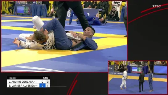 OSVALDO MOIZINHO vs RAIMUNDO DIEGO PINTO SODRE #IBJJFWORLD2023