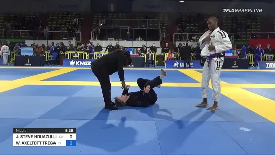 JOSÉ NDUAZULU NDILU vs WILLIAM TREGART 2022 European Jiu-Jitsu IBJJF Championship #IBJJFEURO2022