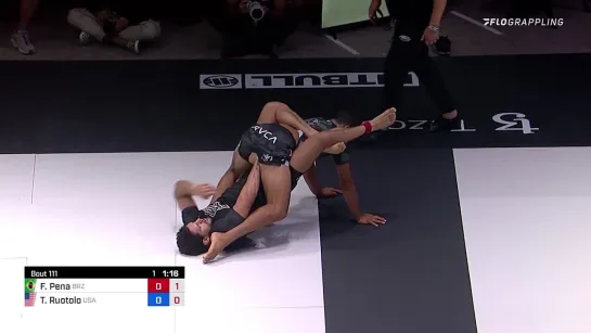 4F Felipe Pena vs Tye Ruotolo #ADCC2022