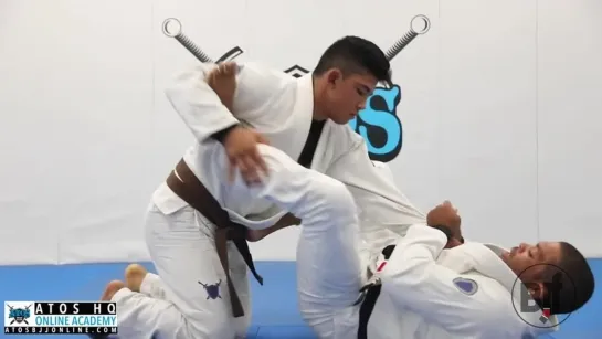 Andre Galvao - Spider Guard Shin To Shin Omoplata To Arm Bar