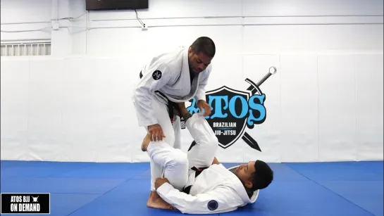 Andre Galvao - Different Ways to Counter the Berimbolo - Part 2