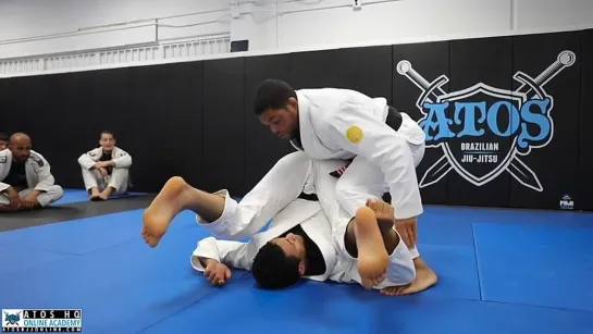 Andre Galvao - Squid Guard Pass MATRIX