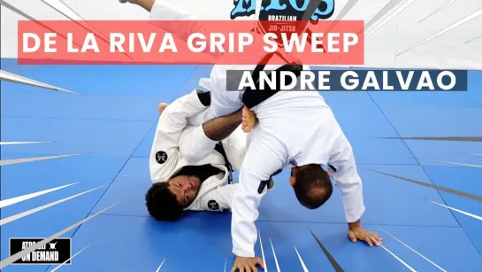 Andre Galvao - De la Riva lapel Grip Sweep