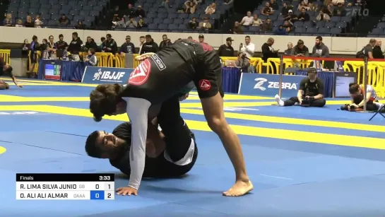 Fin - Roosterweight - Osamah Almarwai vs  Roiter Lima - 2022 World IBJJF Jiu-Jitsu No-Gi Championship