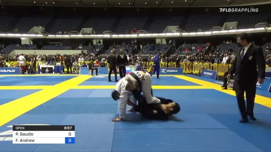 Patrick Gaudio vs Felipe Andrew 2021 World Jiu-Jitsu IBJJF Championship #IBJJFWORLD2021