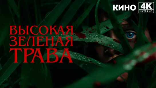 Высокая зелёная трава (2019) 4K UHD