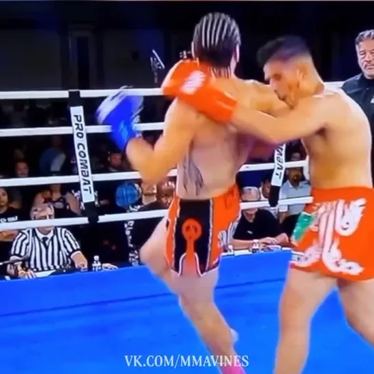 MMA VINES