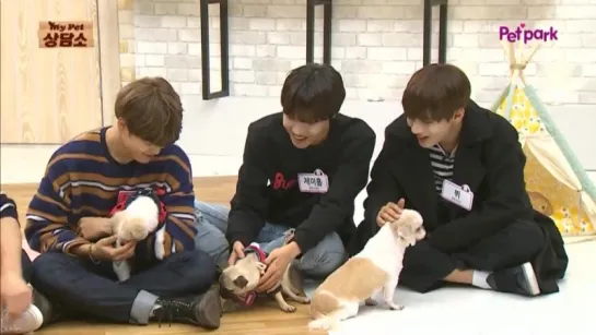 `SHOW` 151111 | Bangtan @ My Pet Clinic (Часть 2)