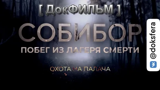 СОБИБОР. ПОБЕГ ИЗ ЛАГЕРЯ СМЕРТИ. 2 серия. Охота на палача