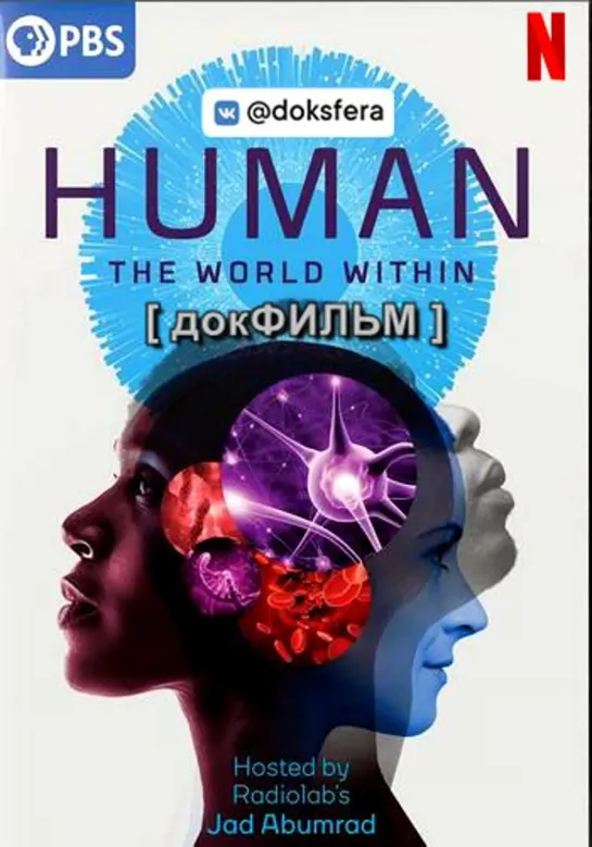 "ЧЕЛОВЕЧЕСКОЕ ТЕЛО: МИР ВНУТРИ" / Human: The World Within (2021) [720p] (серия 3 из 6)