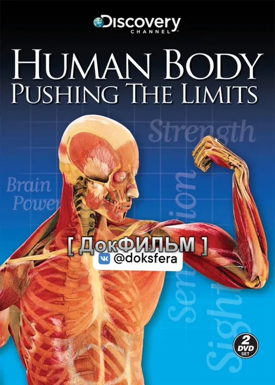 "ТЕЛО ЧЕЛОВЕКА: ГРАНИ ВОЗМОЖНОГО" / Human Body: Pushing the Limits [1080p] (Серия 4 из 4) 4. Человеческий мозг  [ ДокСФЕРА ]