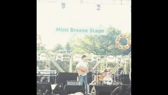 14/05/16 Beautiful Mint Festival 2016