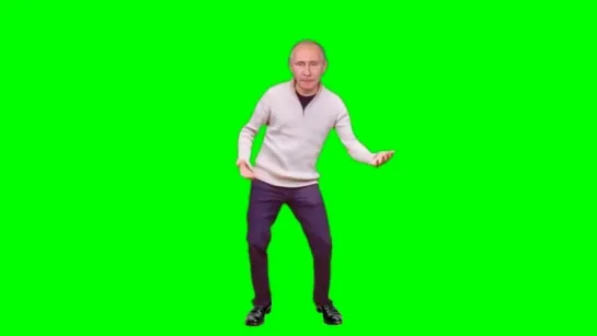 Пыня флексит green screen