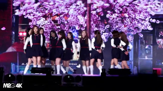 [직캠] 170114 골든디스크 - 아이오아이 I.O.I ( 난 사랑에 빠졌죠 )