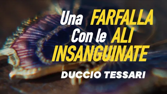 Una farfalla con le ali insanguinate / Окровавленная бабочка (1971) Duccio Tessari / Дуччо Тессари. Италия. Giallo