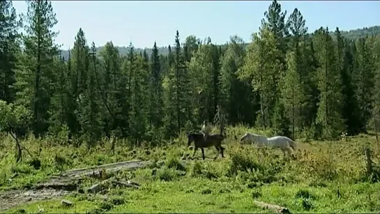 Затерянные в тайге