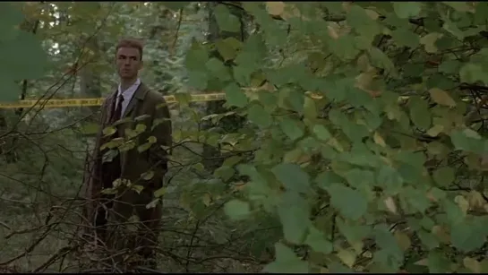 Неглубокая могила (1994 )