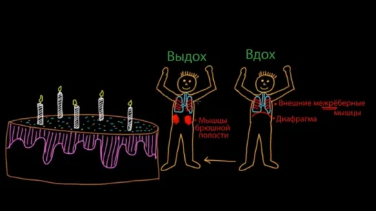 Чихание, кашель и икота