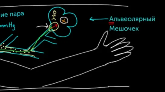 Уравнение альвеолярного газа, часть 2