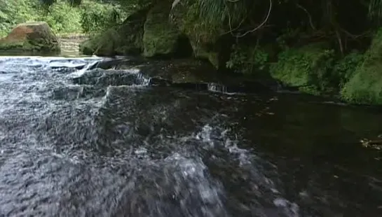 Виртуальное путешествие. Япония. Острова / Virtual Trip Japan. Iriomote Island Taketomi / 2004