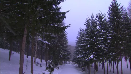 Виртуальное путешествие: Биэй, Фурано - Снежная Сказка / Virtual Trip: Biei, Furano. Snow Fantasy / 2007