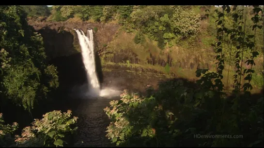 Живые Пейзажи. Гавайские Острова / Living Landscapes. Hawaii Islands / 2008