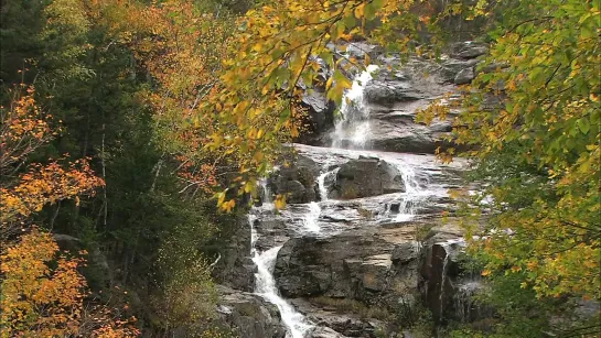 Живые Пейзажи. Осень в Новой Англии / Living Landscapes. Fall in New England / 2007