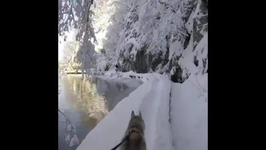 Завораживающая зимняя прогулка по небывалым красотам!