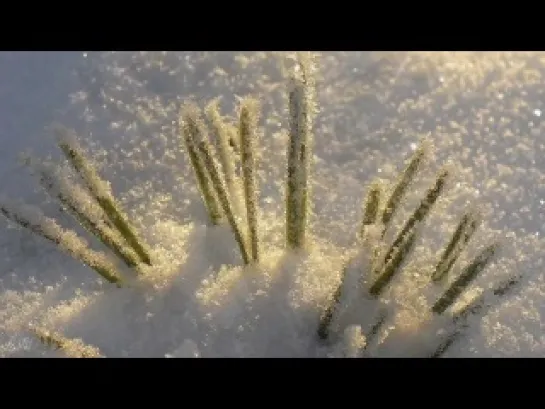 Заснеженная нежность. Secret Garden - Snow-covered tenderness