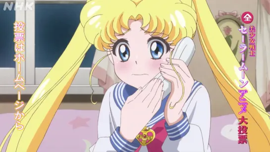 Bishoujo Senshi Sailor Moon Anime Big Vote (2)