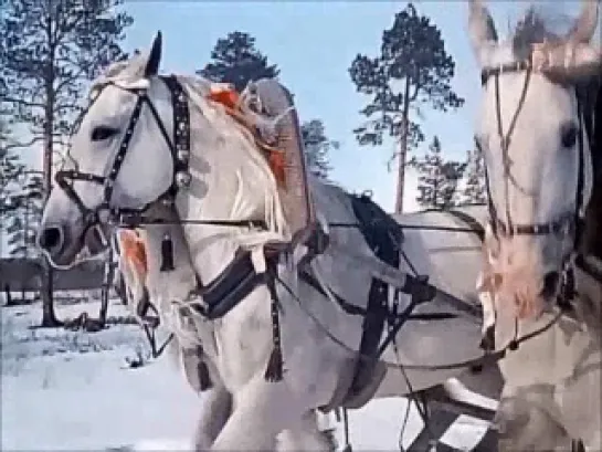 Алексей Галкин."Письмо к А.Ахматовой"муз. и ст.А.Галкин.