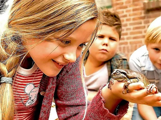 Hilfe, unser Lehrer ist ein Frosch (2017 Нидерланды) дети в кино Режиссёр: Анна ван дер Хайди / Anna van der Heide