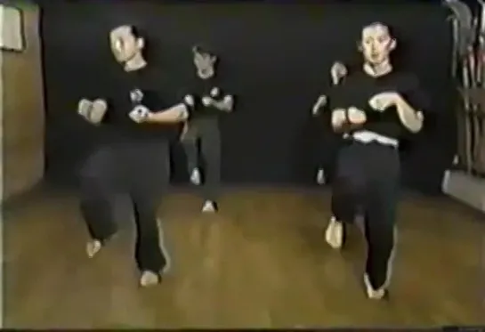 Wang Shujin Baguazhang