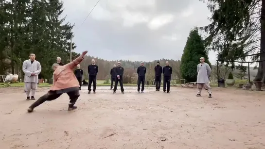 五步拳 · Wu Bu Quan (5 Stances Beginner Form _ Complete Routine)(720p)