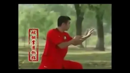 咏春拳基本功 Yong Chun Quan - Basic Skills 2