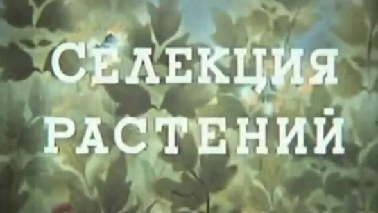 Селекция растений / 1975 / КиевНаучФильм