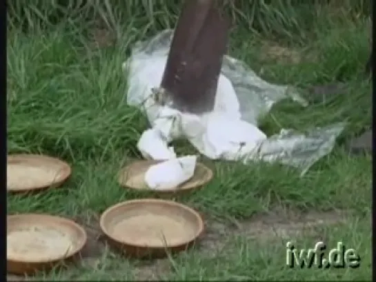 Heathland Beekeeping - 1 - Spring Work in a Heather Skep Apiary