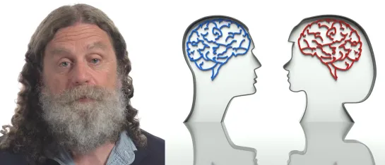 Prof. Robert Sapolksy "Brain Gender / Пол мозга"