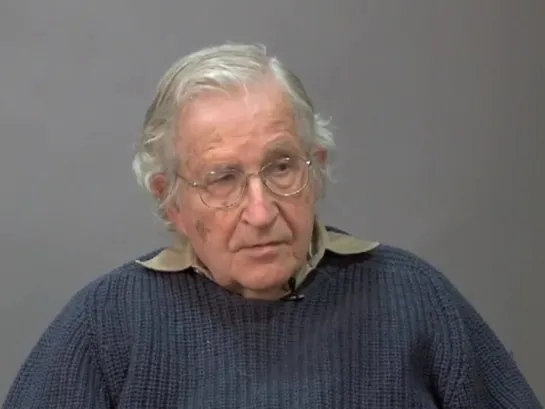 3. Noam Chomsky on connectomics