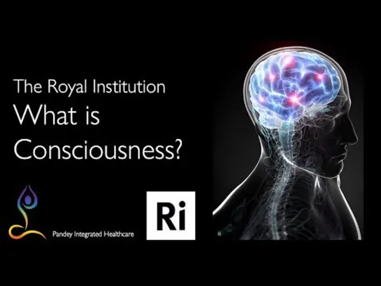 Marcus du Sautoy What is Consciousness? Where is it?