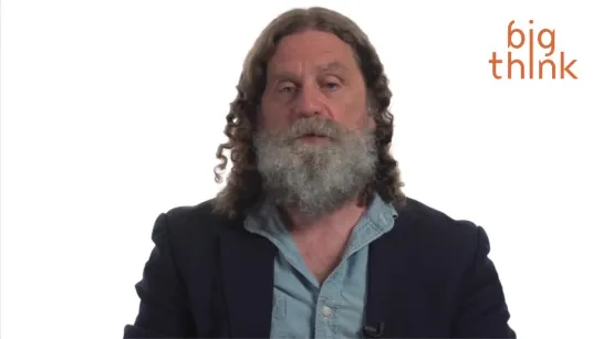 Is Moral Disgust Just Bad Evolution? / Robert Sapolsky