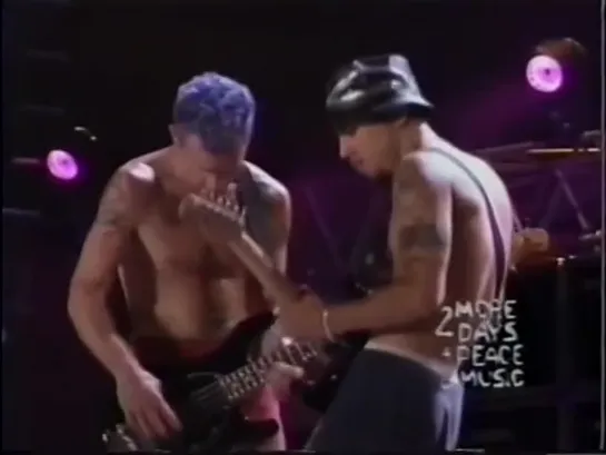 Red Hot Chili Peppers - Woodstock / 1994