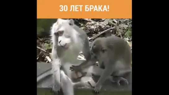 30 лет брака..