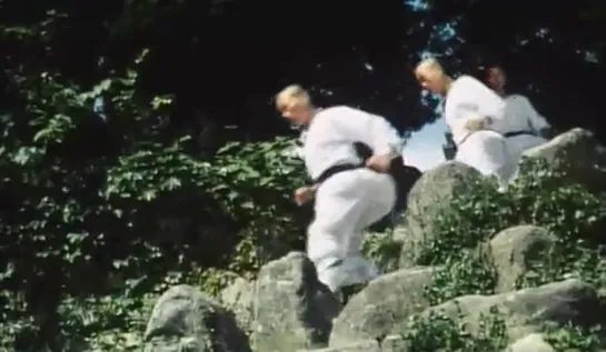 Шаолинь: Кровавая миссия / Shaolin The Blood Mission (Four shaolin temple) (Sadae solimsa) / 1984