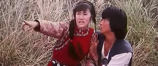 Мир пьяного мастера / World of the Drunken Master (Drunken Dragon) (Jiu xian shi ba die) / 1979